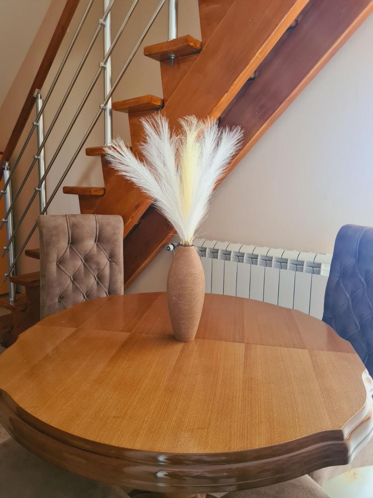 Apartmani Jasmina Ζλάτιμπορ Εξωτερικό φωτογραφία